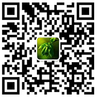 扫一扫，关注我们。